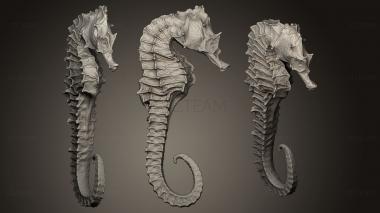 3D model Seahorse (STL)